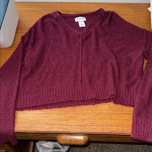 Arizona Jean Company Women's Deep Red V-Neck Sweater
